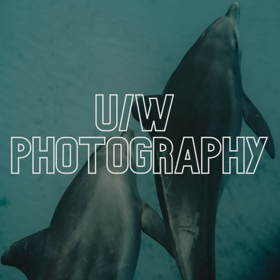 U/W Photography