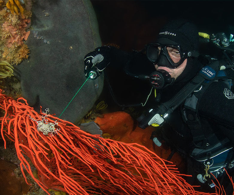 Orcatorch D570 Dive Lamp｜White LED and Green Laser Light